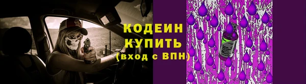 прущие крисы Пересвет