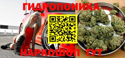 ГАЛЛЮЦИНОГЕННЫЕ ГРИБЫ Моздок