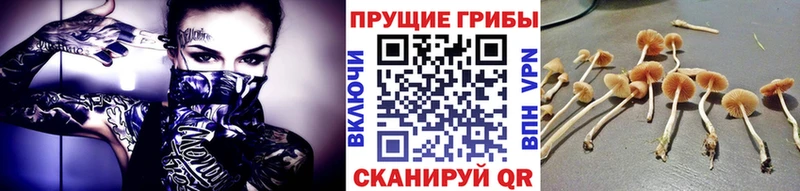 Галлюциногенные грибы мицелий  Улан-Удэ 