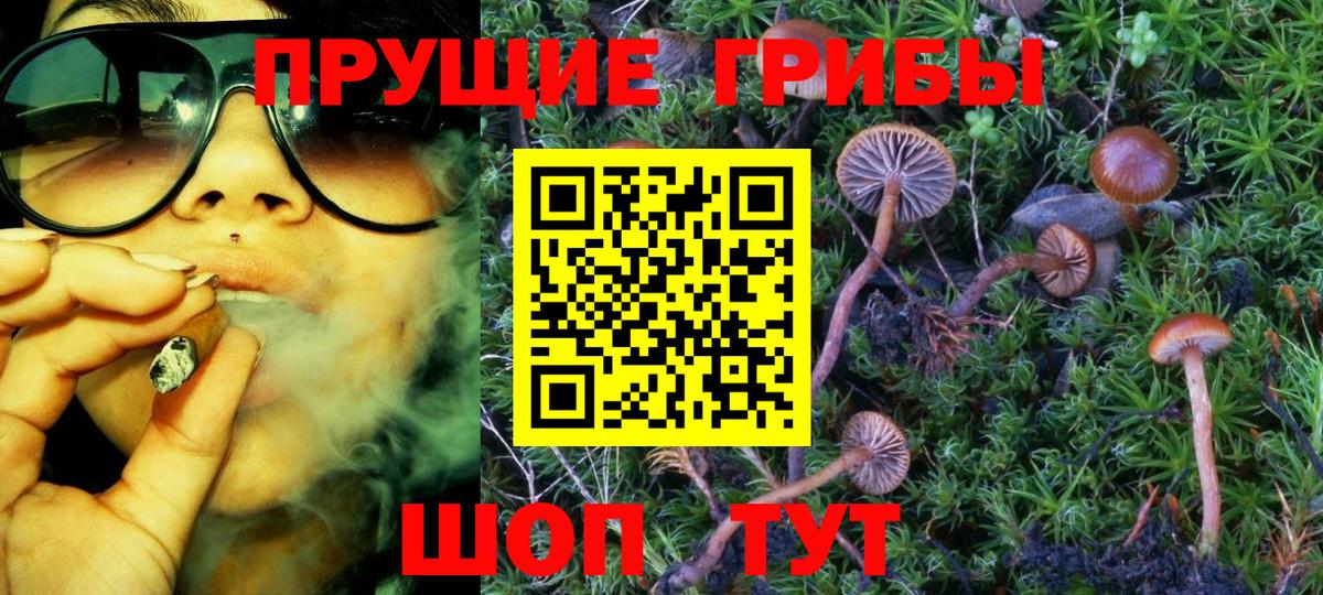 Псилоцибиновые грибы мицелий  Вход с VPN  купить закладку  Галлюциногенные грибы Magic Shrooms  Улан-Удэ 